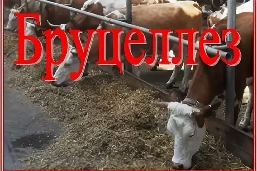 ПАМЯТКА НАСЕЛЕНИЮ.