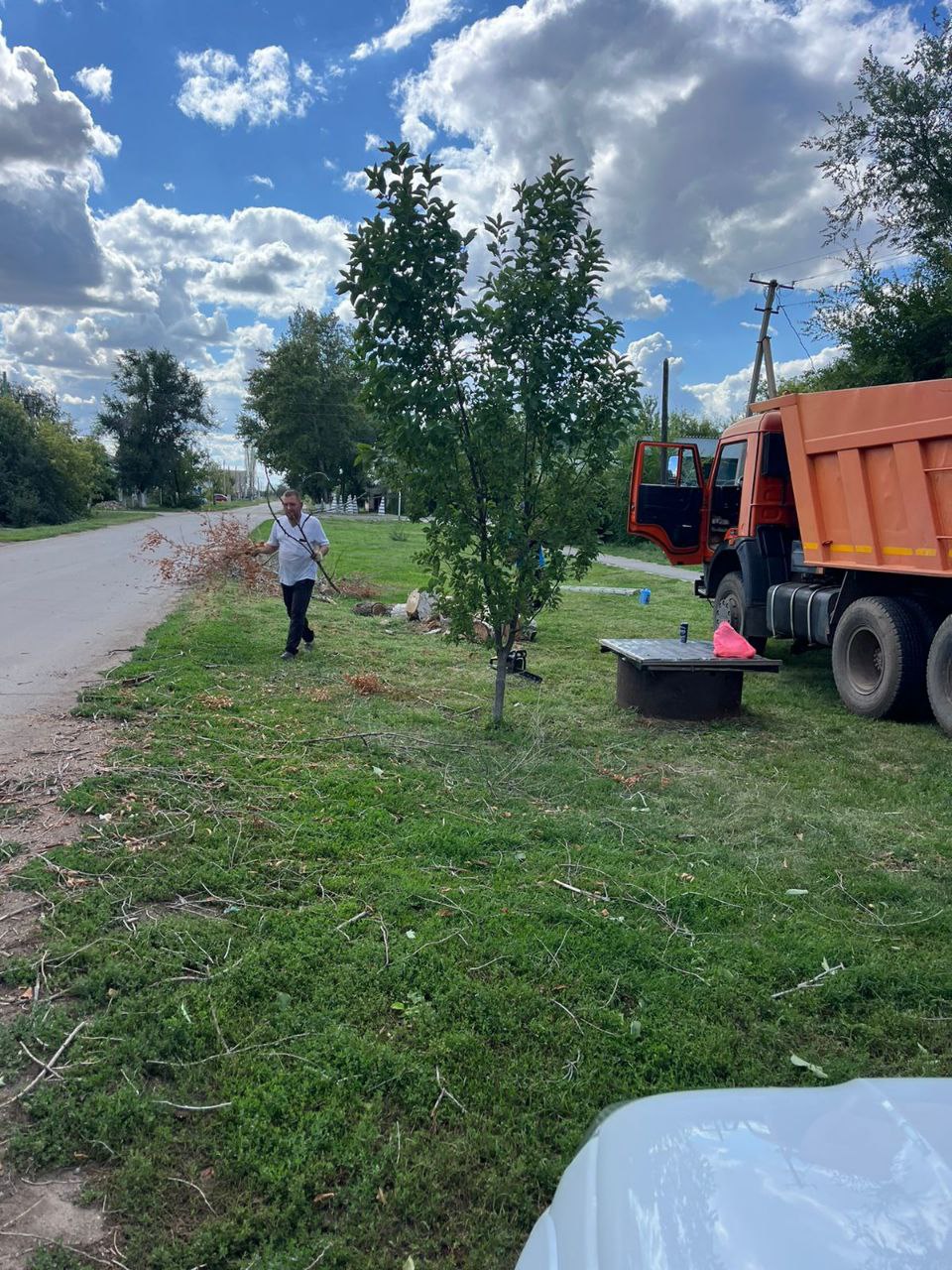 В р. п. Мокроус проводится опиловка деревьев по ул. Советская..